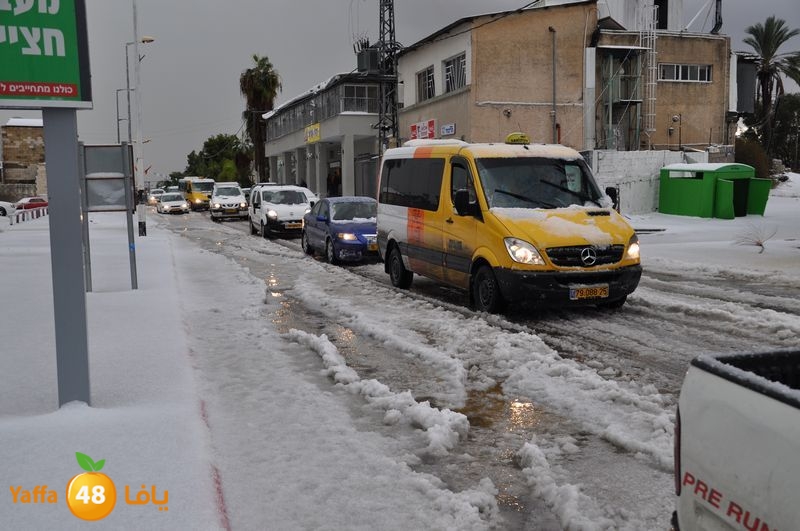 iceman lud 1213 (65).jpg.jpg